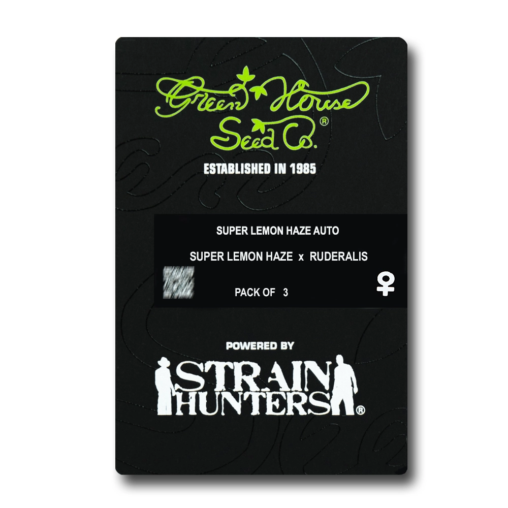 Super Lemon Haze Auto | Autoflowering Hanfsamen von Green House Seeds