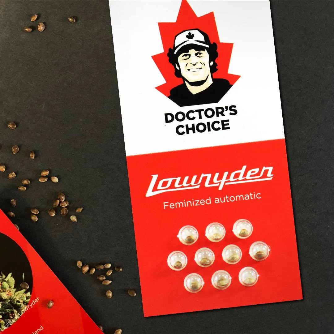 Lowryder autofem Verpackung Doctors Choice Verpackung Lowryder mit Samen im Blister