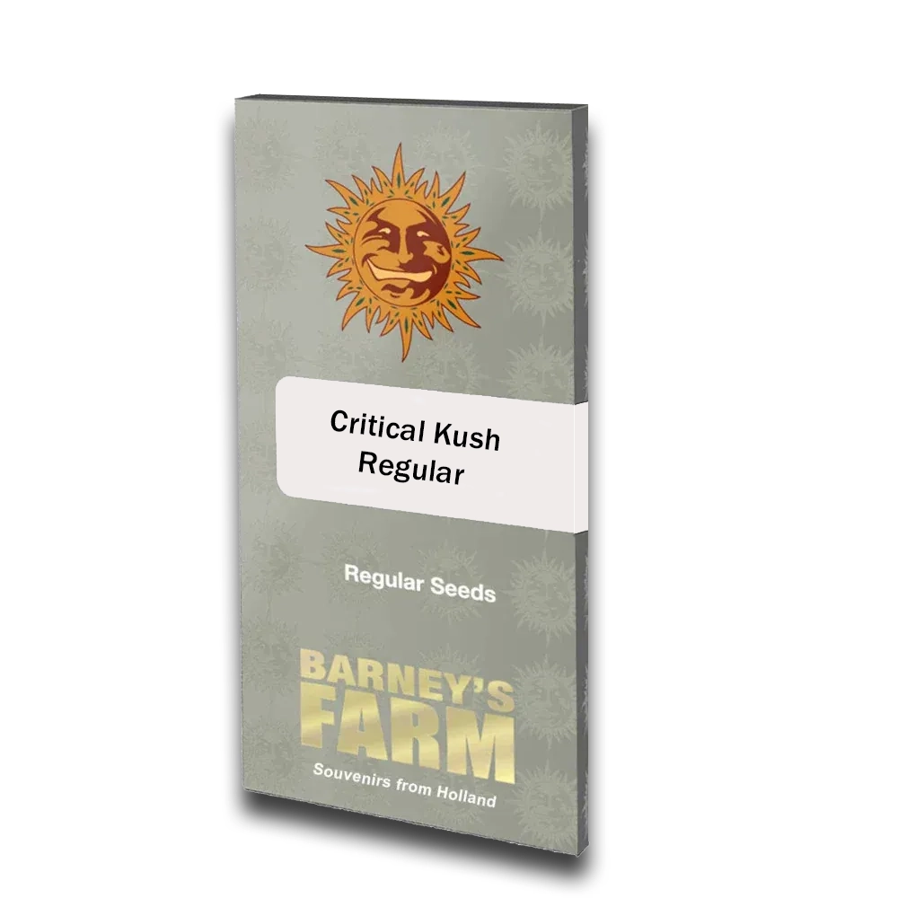 Critical Kush | Reguläre Hanfsamen von Barney's Farm