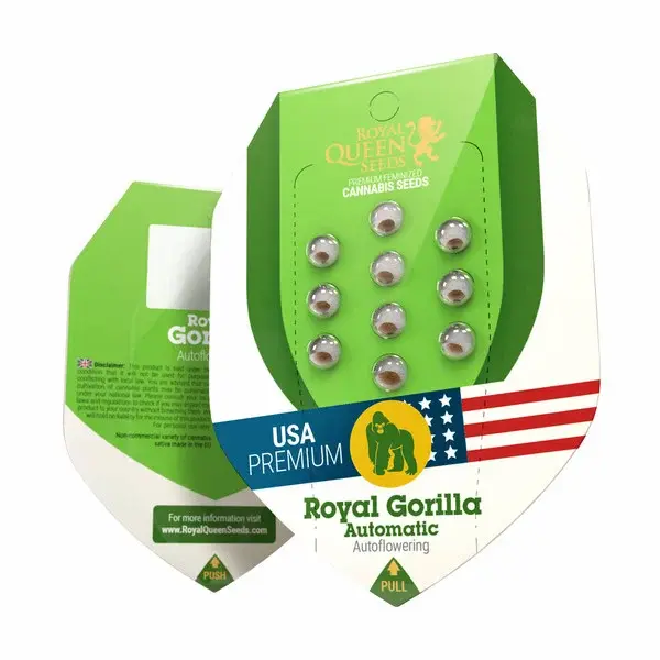Royal Gorilla Auto | Autoflowering Cannabissamen von Royal Queen Seeds