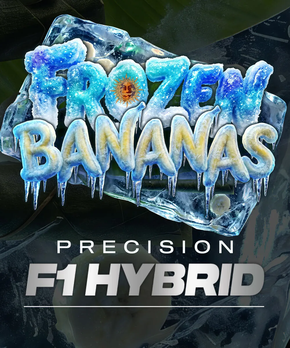Frozen Bananas F1 Artwork Frozen Bananas F1 Sorten-Artwork mit vereistem Schriftzug auf einem Eisblock