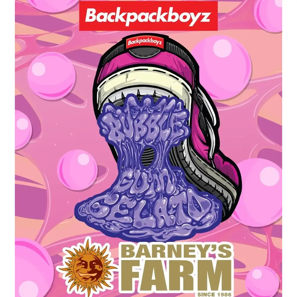 Bubblegum Gelato Artwork Sorten-Illustration Bubblegum Gelato zur Backpackboyz Collaboration