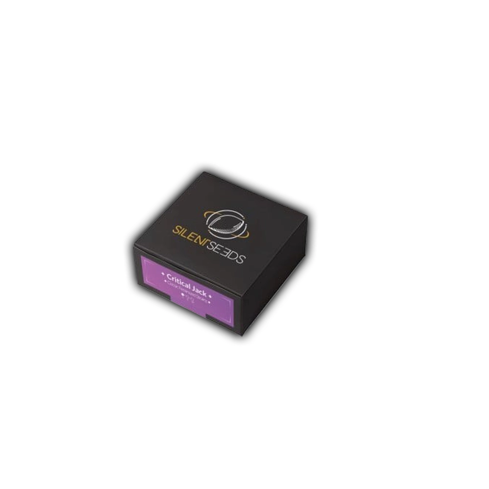 Critical Jack | Feminisierte Hanfsamen von Silent Seeds