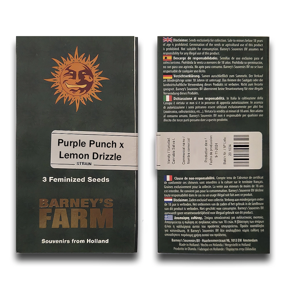 Purple Punch x Lemon Drizzle | Feminisierte Cannabissamen von Barney's Farm