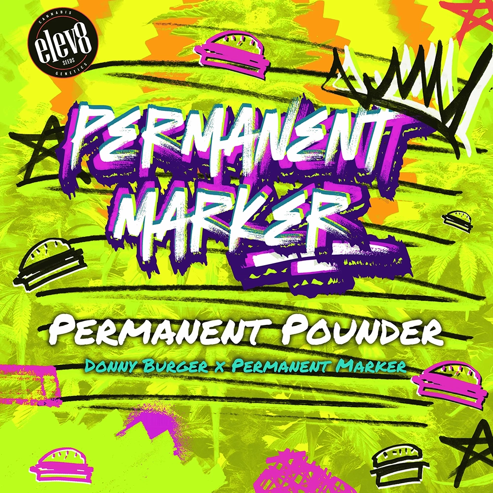 Permanent Pounder Artwork Grafik Permanent Pounder von Elev8 Seeds in Comic-Optik
