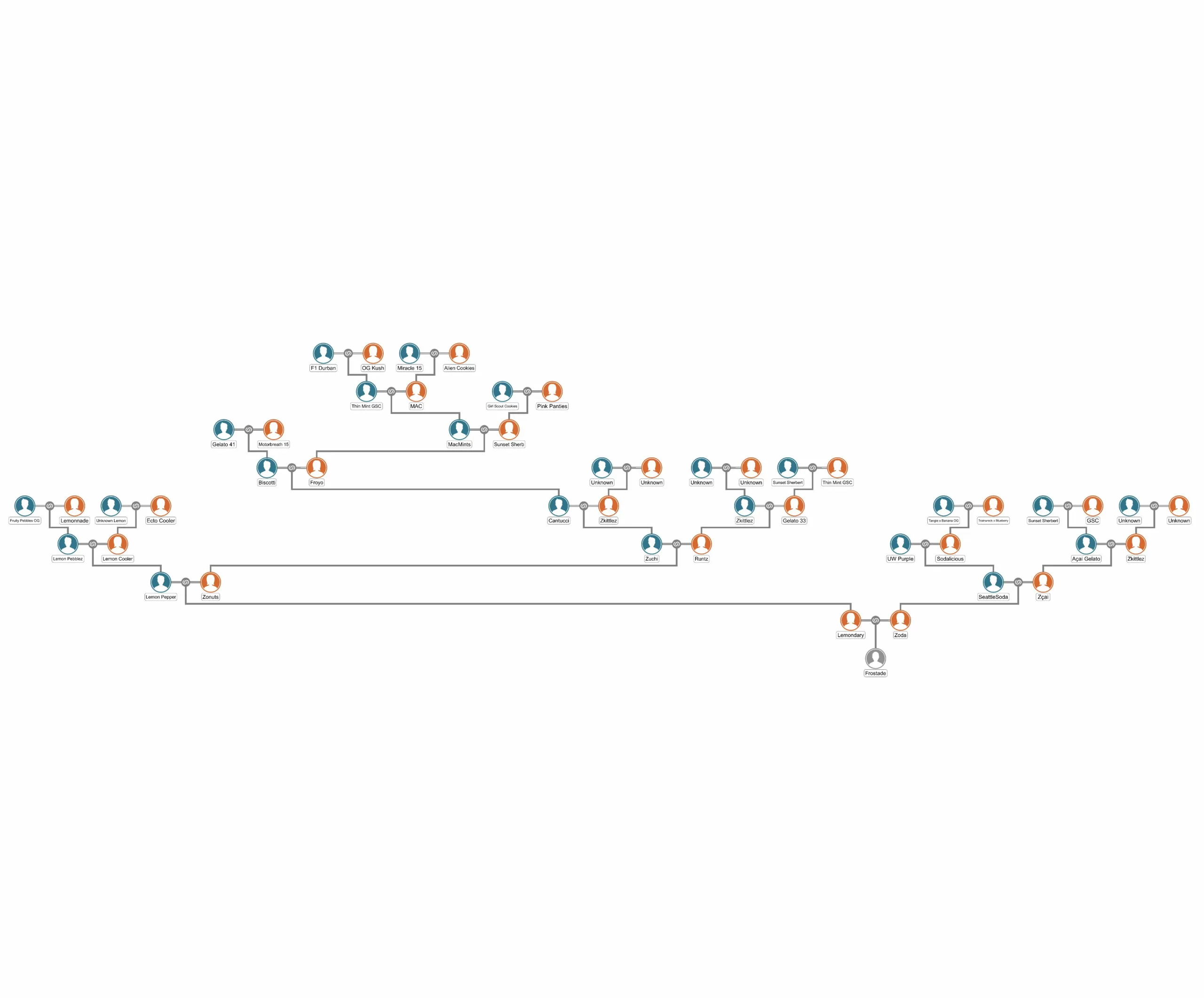 Frostade Stammbaum Detail Erweiterte Stammbaum-Grafik zur Abstammung von Frostade