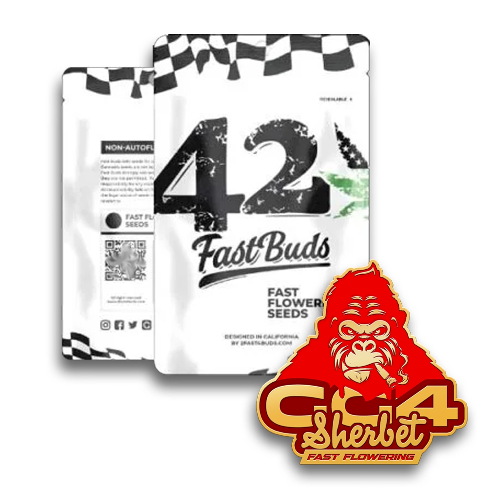 GG4 Sherbet FF | Feminisierte Hanfsamen von Fast Buds