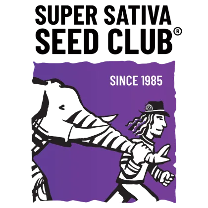 Super Sativa Seed Club Super Sativa Seed Club