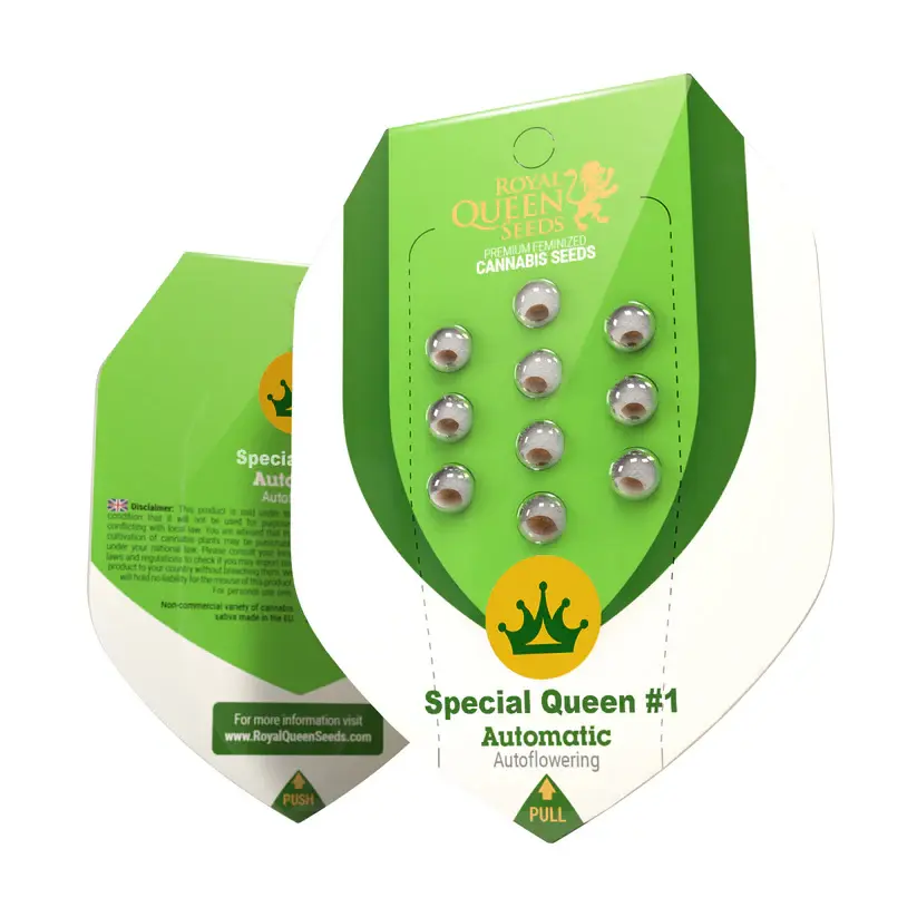 Special-Queen-1-Auto-Autoflowering-Cannabissamen-von-Royal-Queen-Seeds