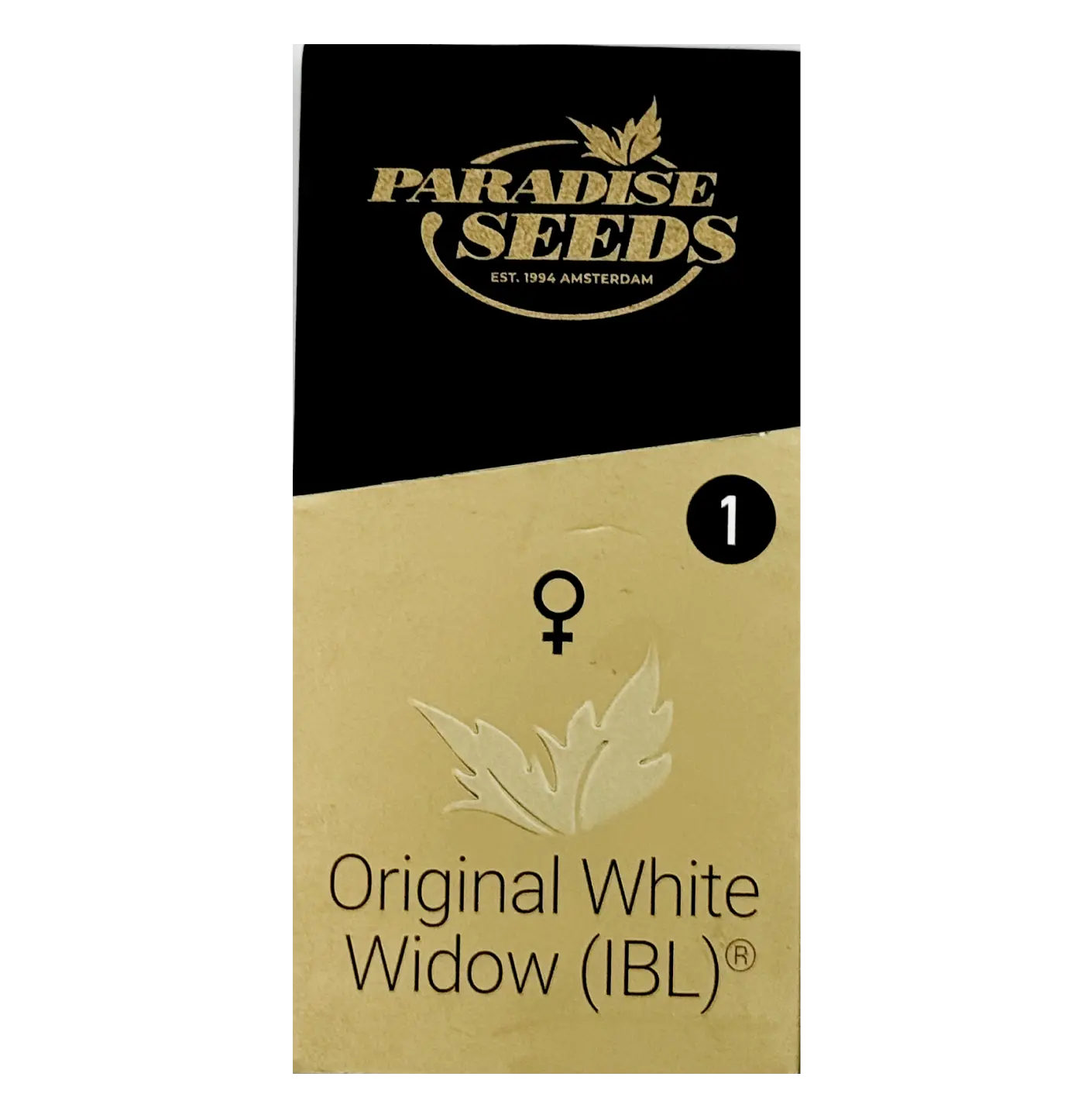 Original White Widow (IBL) | Feminisierte Cannabissamen von Paradise Seeds