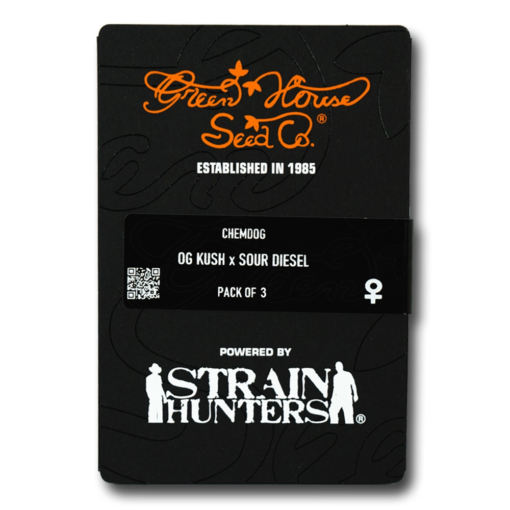 Chemdog | Feminisierte Hanfsamen von Green House Seeds