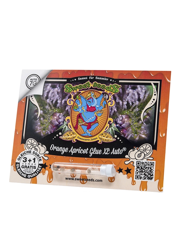Orange Apricot Glue XL Auto | Autoflowering Hanfsamen von Sweet Seeds