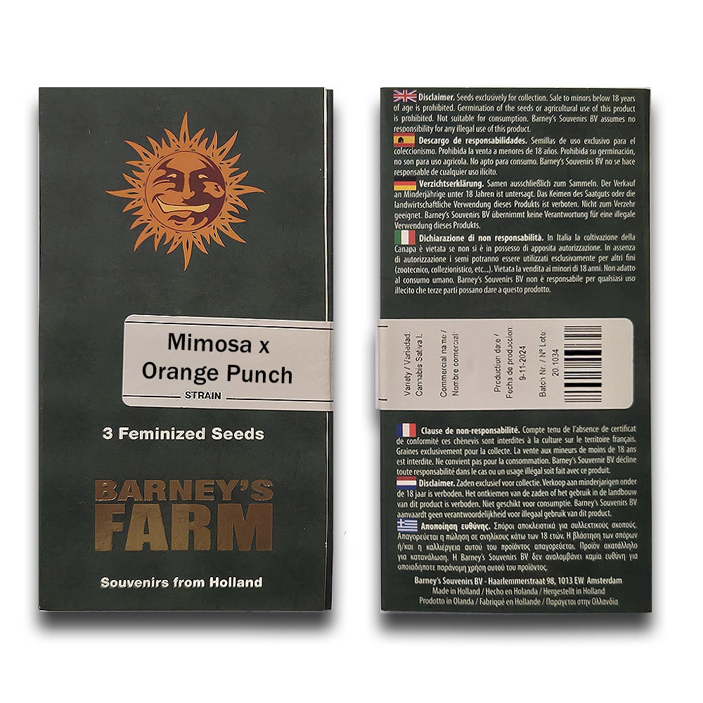 Mimosa x Orange Punch | Feminisierte Hanfsamen von Barney's Farm