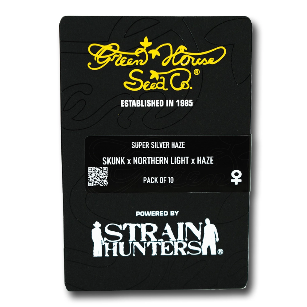Super Silver Haze | Feminisierte Hanfsamen von Green House Seeds