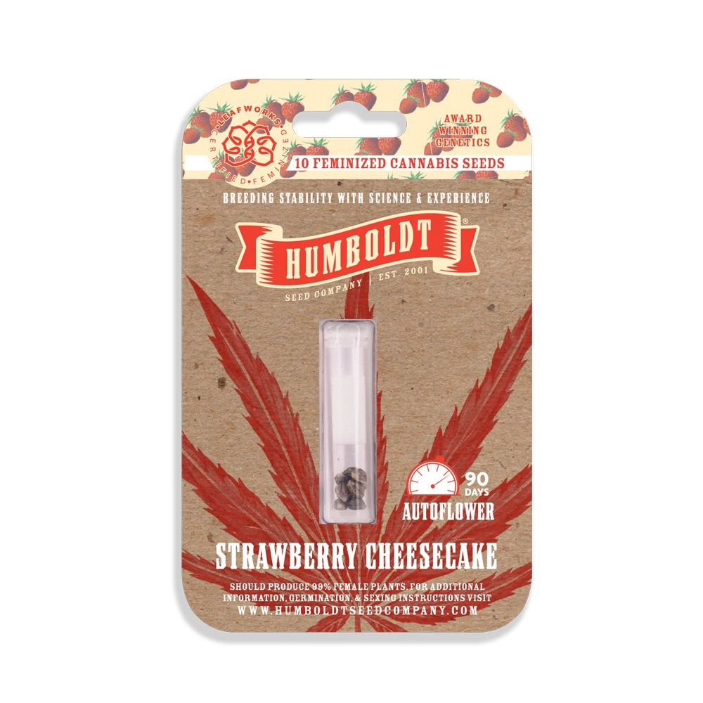 Strawberry Cheesecake Auto | Autoflowering Cannabissamen von Humboldt Seed
