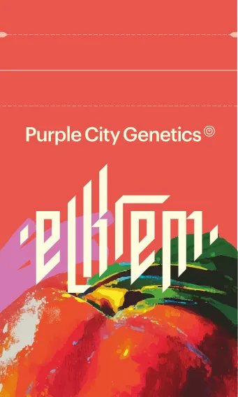 El Krem Peaches Verpackung Verpackung El Krem Peaches von Purple City Genetics mit Pfirsich-Motiv