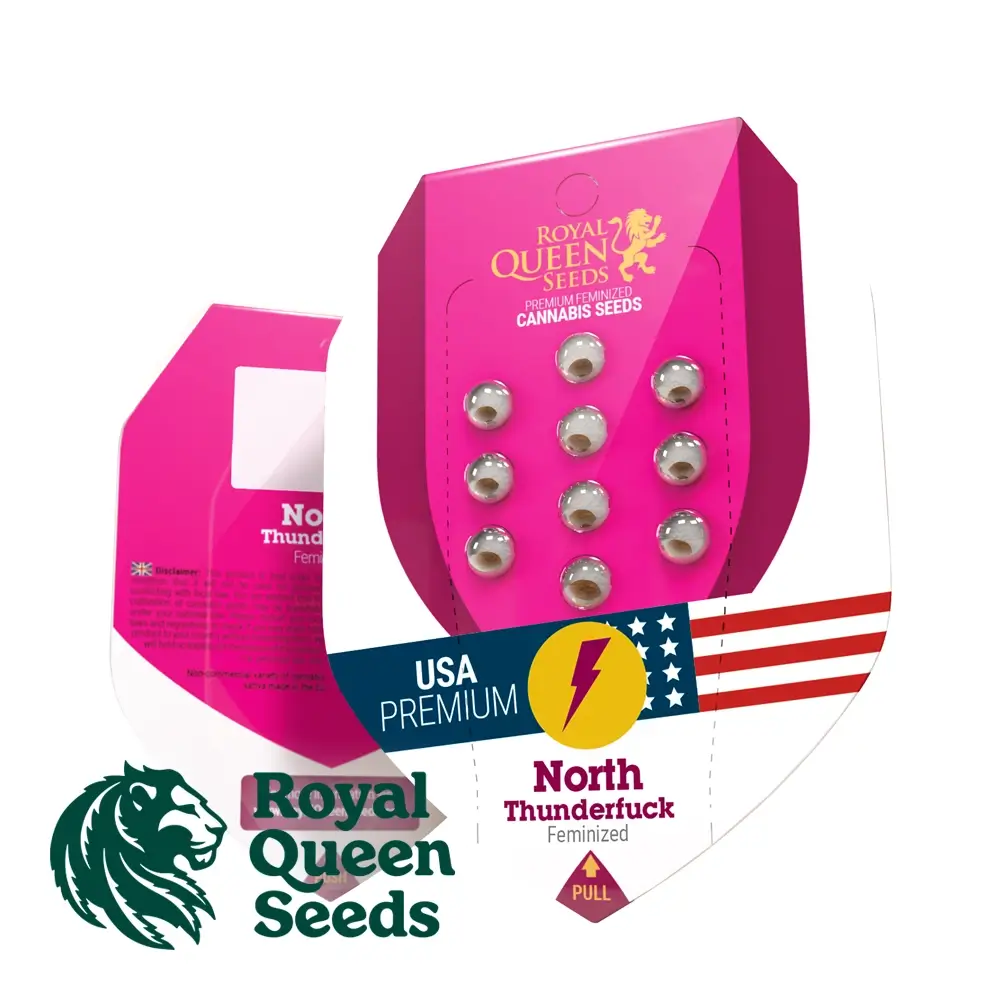 North Thunderfuck Verpackung Pinke Royal Queen Seeds Verpackung North Thunderfuck mit Samen im Blister