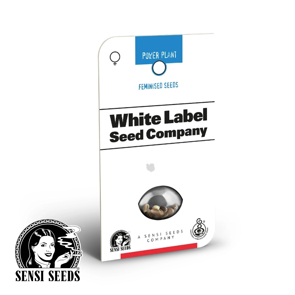 Pure Power Plant | Feminisierte Hanfsamen von White Label Seeds