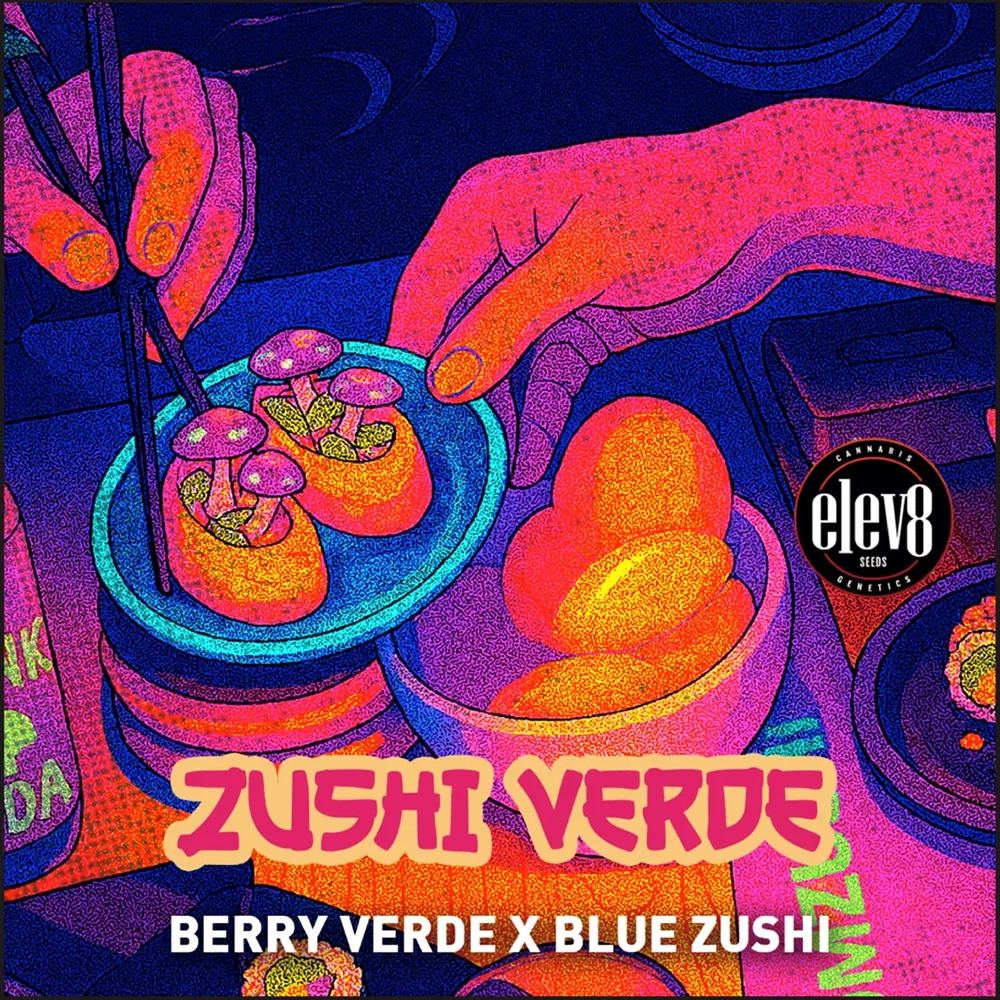 Zushi Verde Artwork Sorten-Illustration Zushi Verde von Elev8 Seeds aus Berry Verde x Blue Zushi