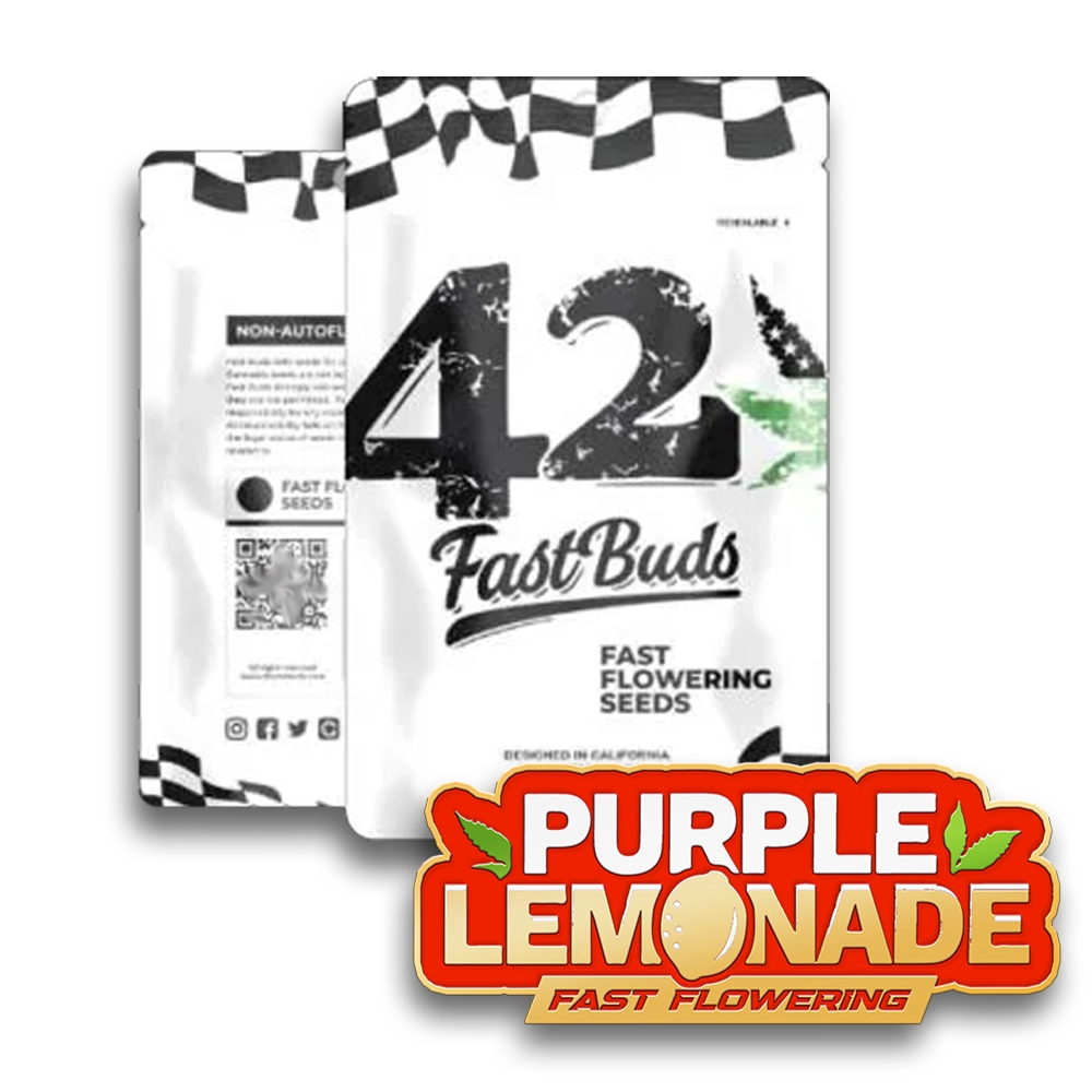 Purple Lemonade FF | Feminisierte Cannabissamen von Fast Buds