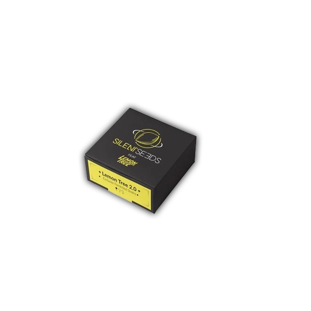 Lemon Tree 2.0 | Feminisierte Hanfsamen von Silent Seeds