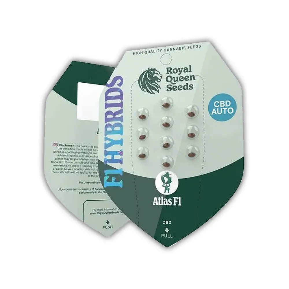 Atlas F1 Verpackung Royal Queen Seeds F1 Hybrids Verpackung Atlas F1 mit Samen im Blister