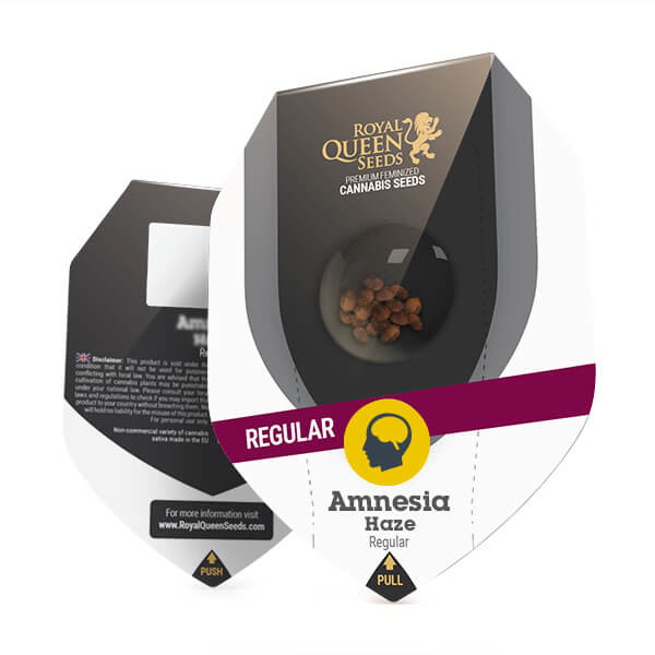 Amnesia Haze | Reguläre Hanfsamen von Royal Queen Seeds