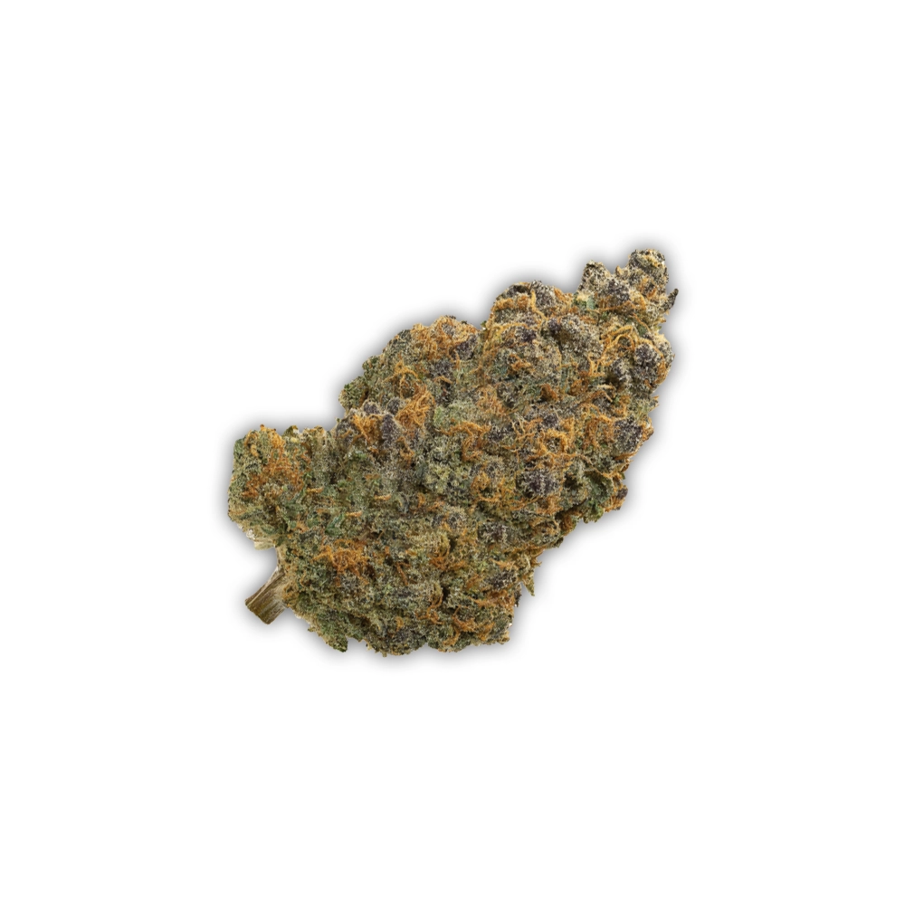 Z-Up Auto | Autoflowering Hanfsamen von Fast Buds