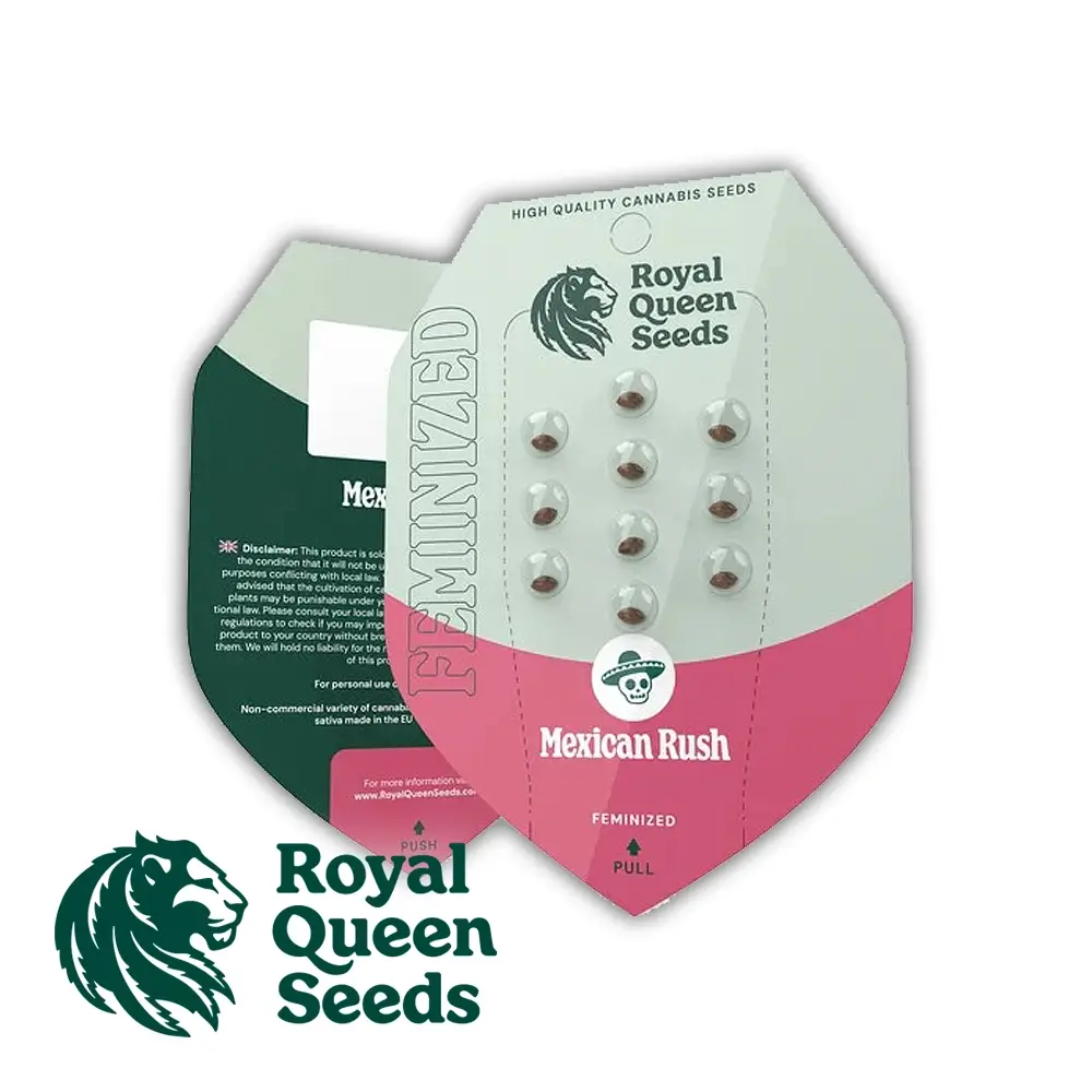 Mexican Rush Verpackung Royal Queen Seeds Verpackung Mexican Rush mit Samen im Blister