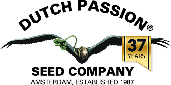Dutch Passion Dutch Passion