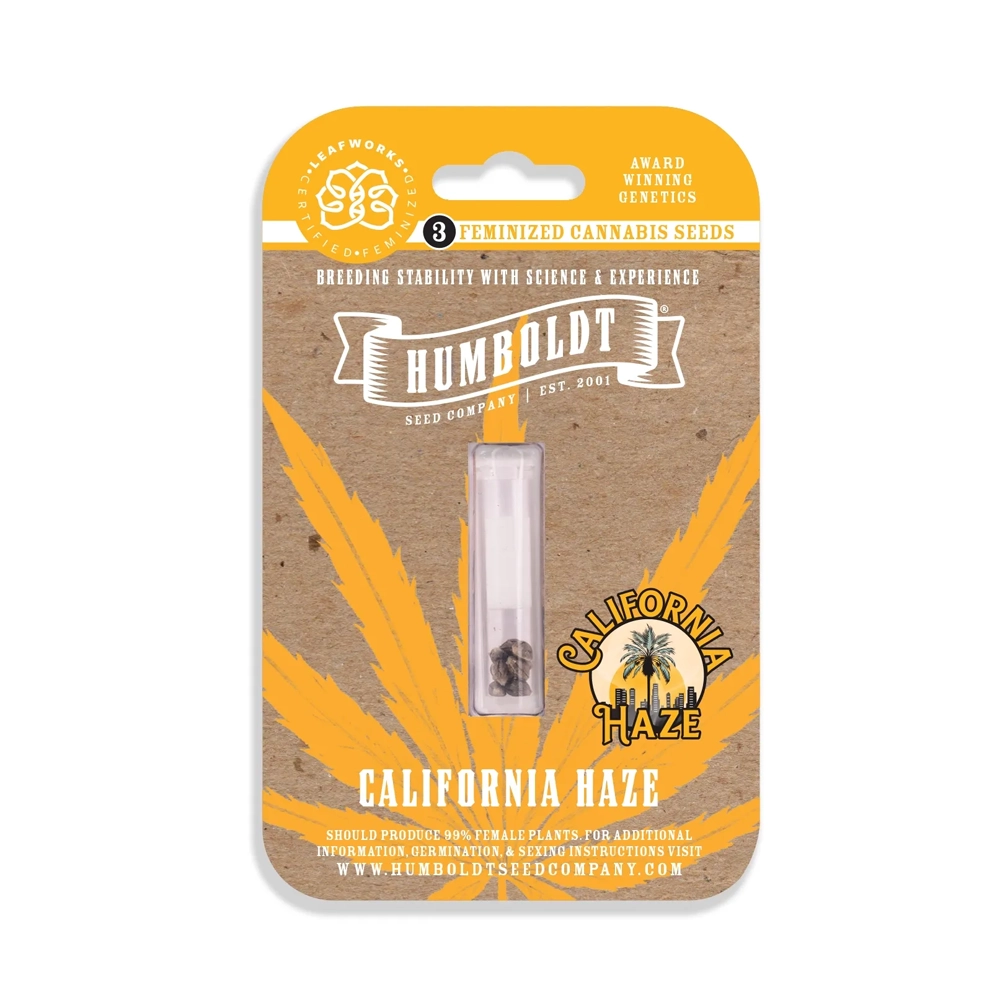 California Haze | Feminisierte Hanfsamen von Humboldt Seed