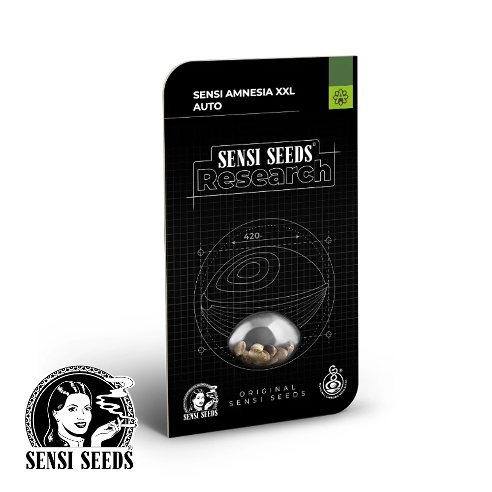Sensi Amnesia XXL Auto | Autoflowering Hanfsamen von Sensi Seeds