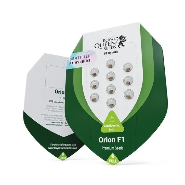 ORION F1 | Autoflowering Cannabissamen von Royal Queen Seeds