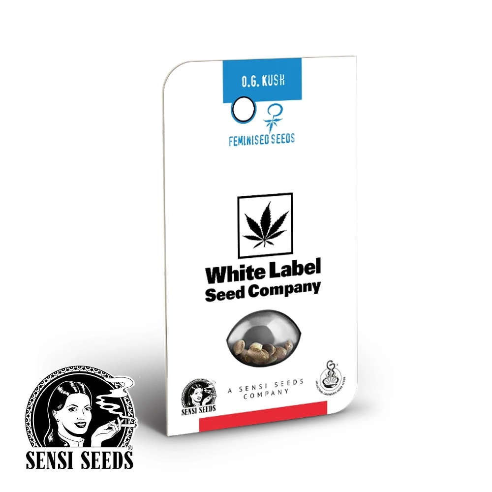 OG Kush | Feminisierte Hanfsamen von White Label Seeds