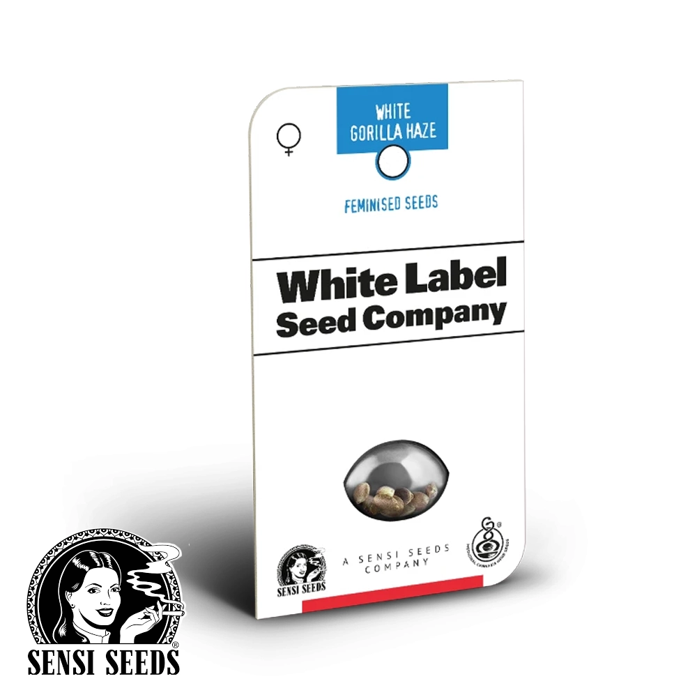 White Gorilla Haze | Feminisierte Hanfsamen von White Label Seeds
