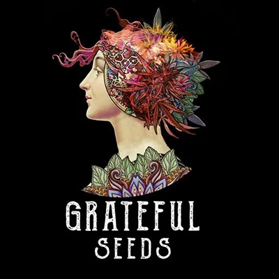 The Grateful Seeds The Grateful Seeds