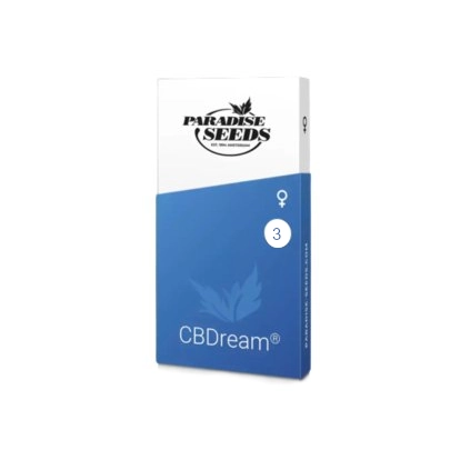 CBDream | Feminisierte Hanfsamen von Paradise Seeds