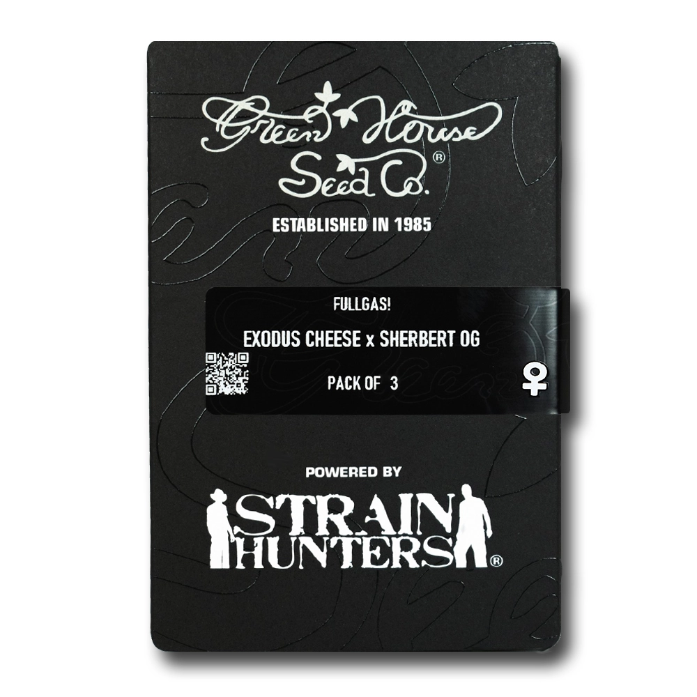 Fullgas! | Feminisierte Hanfsamen von Green House Seeds