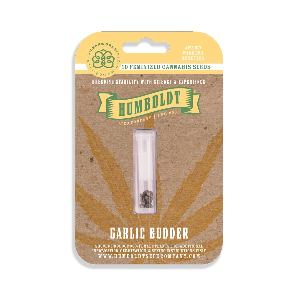 Garlic Budder | Feminisierte Hanfsamen von Humboldt Seed