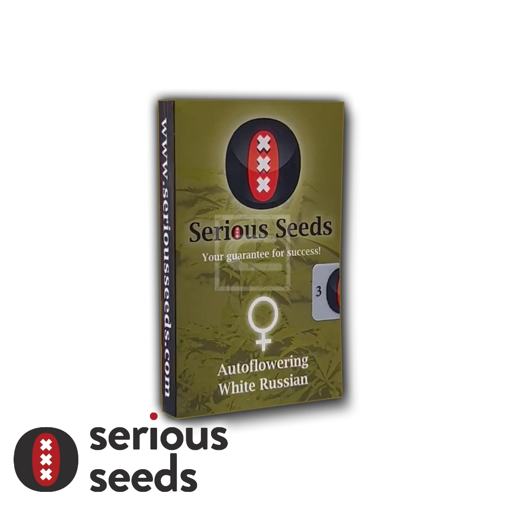 Auto White Russian | Autoflowering Hanfsamen von Serious Seeds