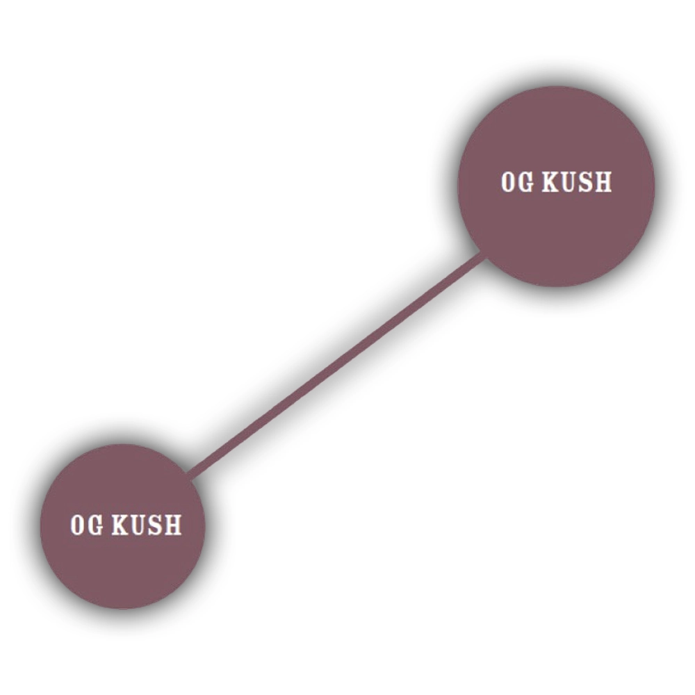 OG Kush Auto | Autoflowering Cannabissamen von Humboldt Seed