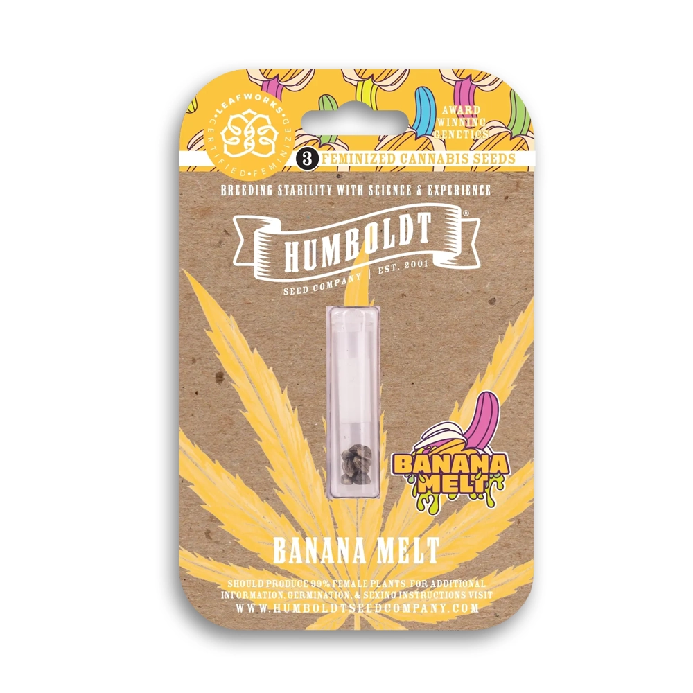 Banana Melt | Feminisierte Hanfsamen von Humboldt Seed