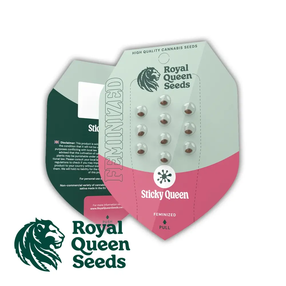 Sticky Queen Verpackung Royal Queen Seeds Verpackung Sticky Queen mit Samen im Blister