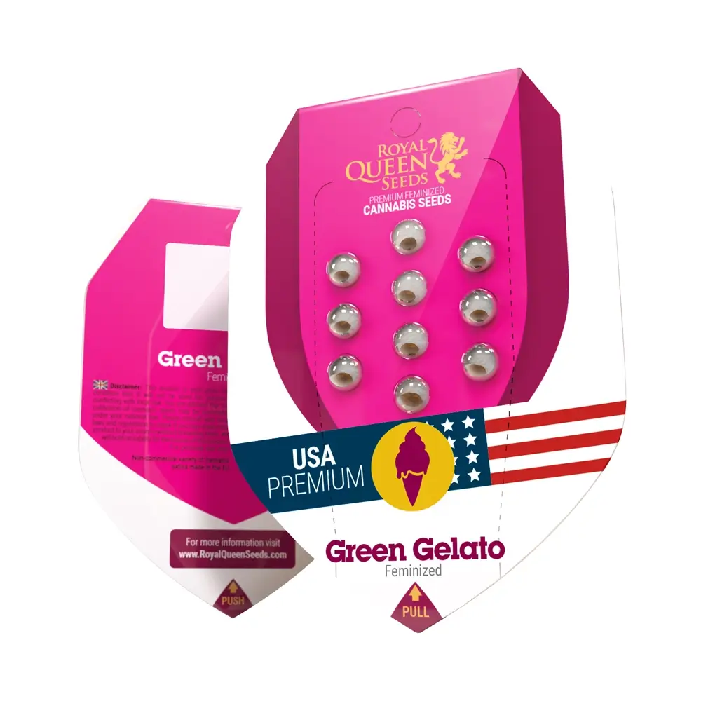 Green Gelato Verpackung Pinke Royal Queen Seeds Verpackung Green Gelato mit Samen im Blister