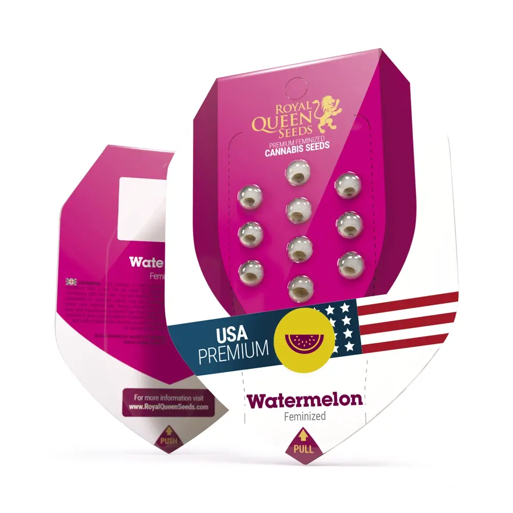 Watermelon Verpackung Pinke Royal Queen Seeds Verpackung Watermelon aus der USA Premium Reihe