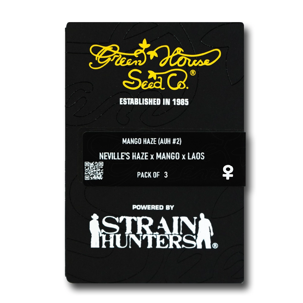 Mango Haze (AU #2) | Feminisierte Cannabissamen von Green House Seeds