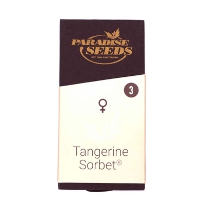 Tangerine Sorbet | Feminisierte Hanfsamen von Paradise Seeds
