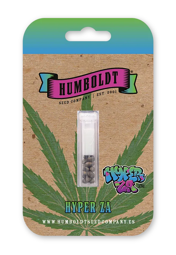 Hyper Za Verpackung Blisterverpackung Hyper Za Samen von Humboldt Seed Company