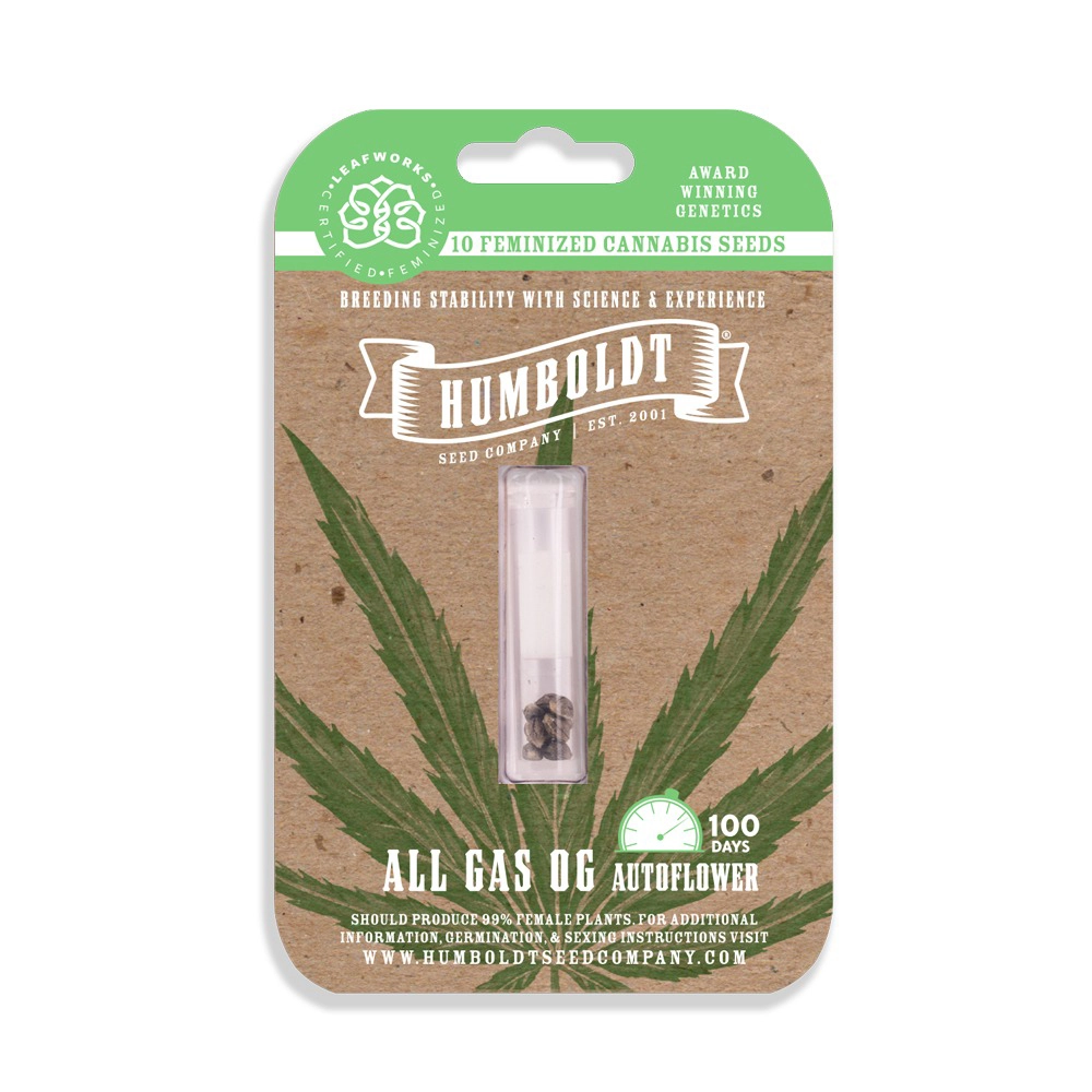 All Gas OG Auto | Autoflowering Hanfsamen von Humboldt Seed