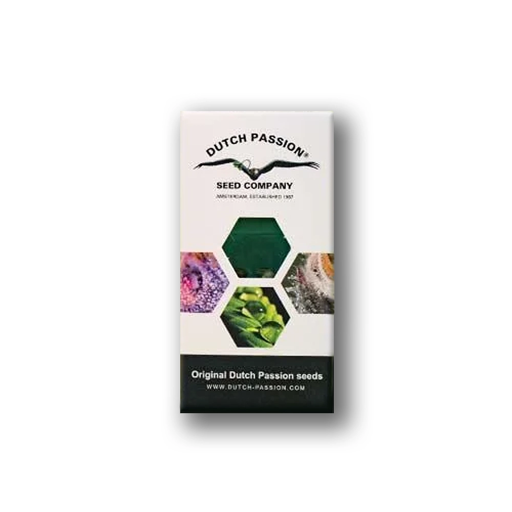 Orange Bud Auto | Autoflowering Cannabissamen von Dutch Passion